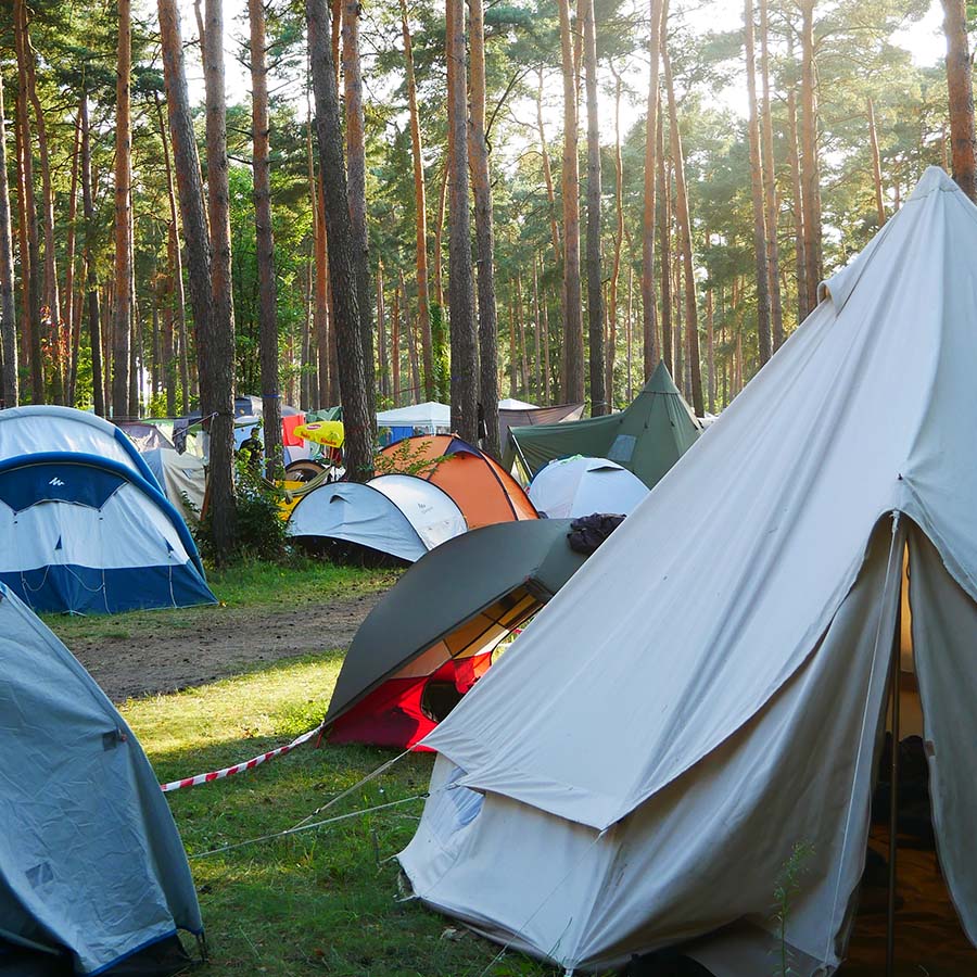 Dein Sommer mit Finizio